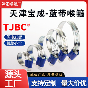 Colliers de serrage pour tuyaux Tianjin Baocheng Blue Ribbon, en fer galvanisé, 26-38 mm, pour la réparation de conduites d'eau - Product Image 5