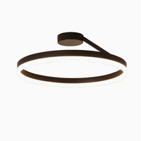 Lámpara de Techo LED Circular Moderna y Minimalista, Ideal para Dormitorio, Estudio, Comedor y Balcón