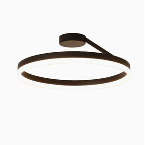 Modern Minimalist <b>LED</b> Circle Ceiling <b>Light</b>, Ideal for Bedroom, Study, Dining Room & Balcony - Product Image 4