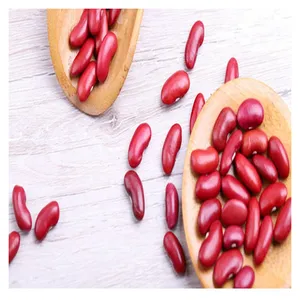 Factory Directly Wholesale Red Kidney Beans 2022 Long Shape Dark Red Kidney Beans