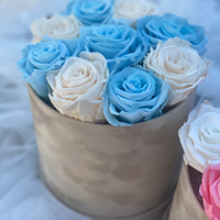 Boîte rose, boîte à roses, roses éternelles, anniversaire, amour éternel, roses préservées dans un coffret en velours, cadeaux pour filles, coffrets cadeaux pour sœurs, fête des mères