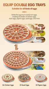 <span class=keywords><strong>2026</strong></span> नई प्रवृत्ति ई नियंत्रक कृषि उपकरण मिनी 26 चिकन क्वेल बतख इनक्यूबेटर अंडे देने वाली मशीन - Product Image 6