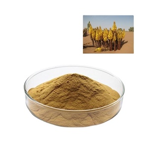 40:1 Cistanche Tubulosa Extrait Cistanche 80% Nature Supplément Herbal Plant Cistanche 100% Nature Suppléments pour la musculation - Product Image 4