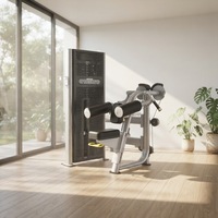 Machine de musculation isolalette professionnelle en acier robuste à charge par broches pour exercices de levée latérale