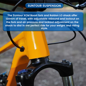 Bicicleta de Montaña Lewee 2026 con Suspensión Completa, Cuadro Ligero de Aluminio, Ruedas de 29 Pulgadas, 10 Velocidades - Product Image 5