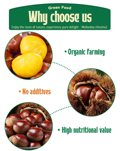 Castañas Frescas Orgánicas Ricas en Nutrientes Sin Gluten para Dietas Saludables Dulzura Totalmente Natural Castañas Frescas y Premium - Product Image 3