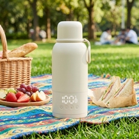 Bouilloire Électrique Portable Sans Fil Haut de Gamme à Affichage Numérique, Mini Tasse Chauffante et Isotherme de Voyage