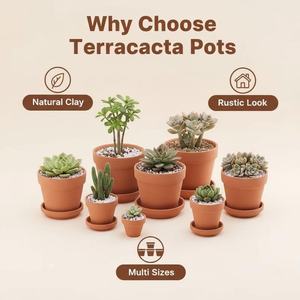 Vente directe d'usine, pots à fleurs en céramique terracotta, forte perméabilité à l'air, absorption d'eau, légers, écologiques - Product Image 5