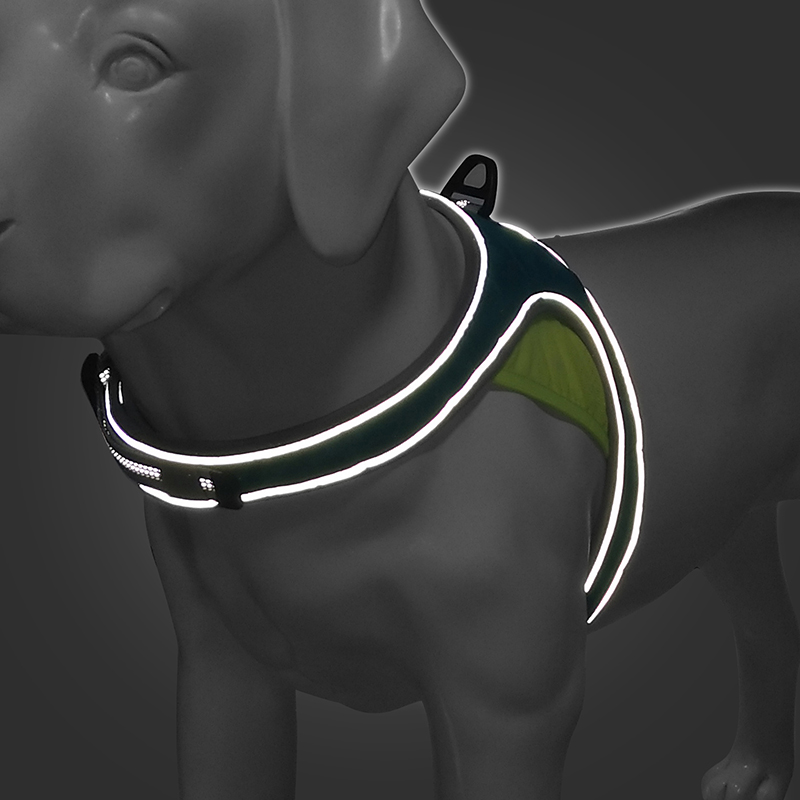 Customized Hot selling Pet Leash Set With Reflective Strips Comfortable Breathable Harness For Pet Dog