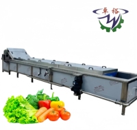 Continue voedselverwerkingsmachine voor pinda's, groenten en fruit, stoomblancheringsmachine 200 kg/uur, tomatenblancheringsmachine, kleine aardappelblancheringsmachine