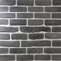 Panneaux de parement en faux ciment légers, imperméables et ignifuges pour la décoration murale de la maison, du bar, de la bibliothèque ou du toit