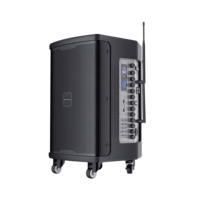 Altavoz Bluetooth portátil profesional con batería recargable, compatible con FM, USB, tarjeta TF, entrada AUX y micrófono