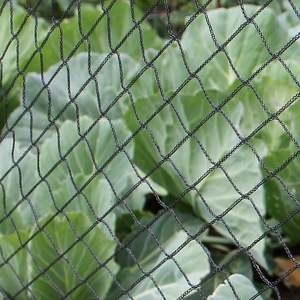 Filet de <span class=keywords><strong>protection</strong></span> anti-<span class=keywords><strong>oiseaux</strong></span> réutilisable pour jardin, protège les plantes, les arbres fruitiers et les légumes <span class=keywords><strong>contre</strong></span> les <span class=keywords><strong>oiseaux</strong></span> et autres animaux - Product Image 4