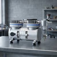 Nouveau Compresseur d'air à piston mini 2 cylindres 6 bars lubrifié pour aérographe, certifié CE ISO9001, 1/3 CV pour la fabrication