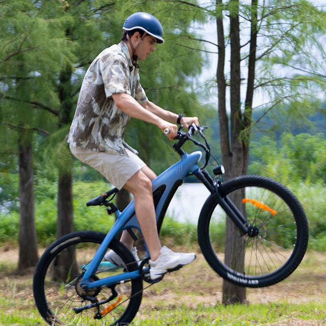 Onyx Waterproof Electric Bicycle Mechanical Lock Removable Battery 7-Speed Urban & Trail Use Minimalist Design