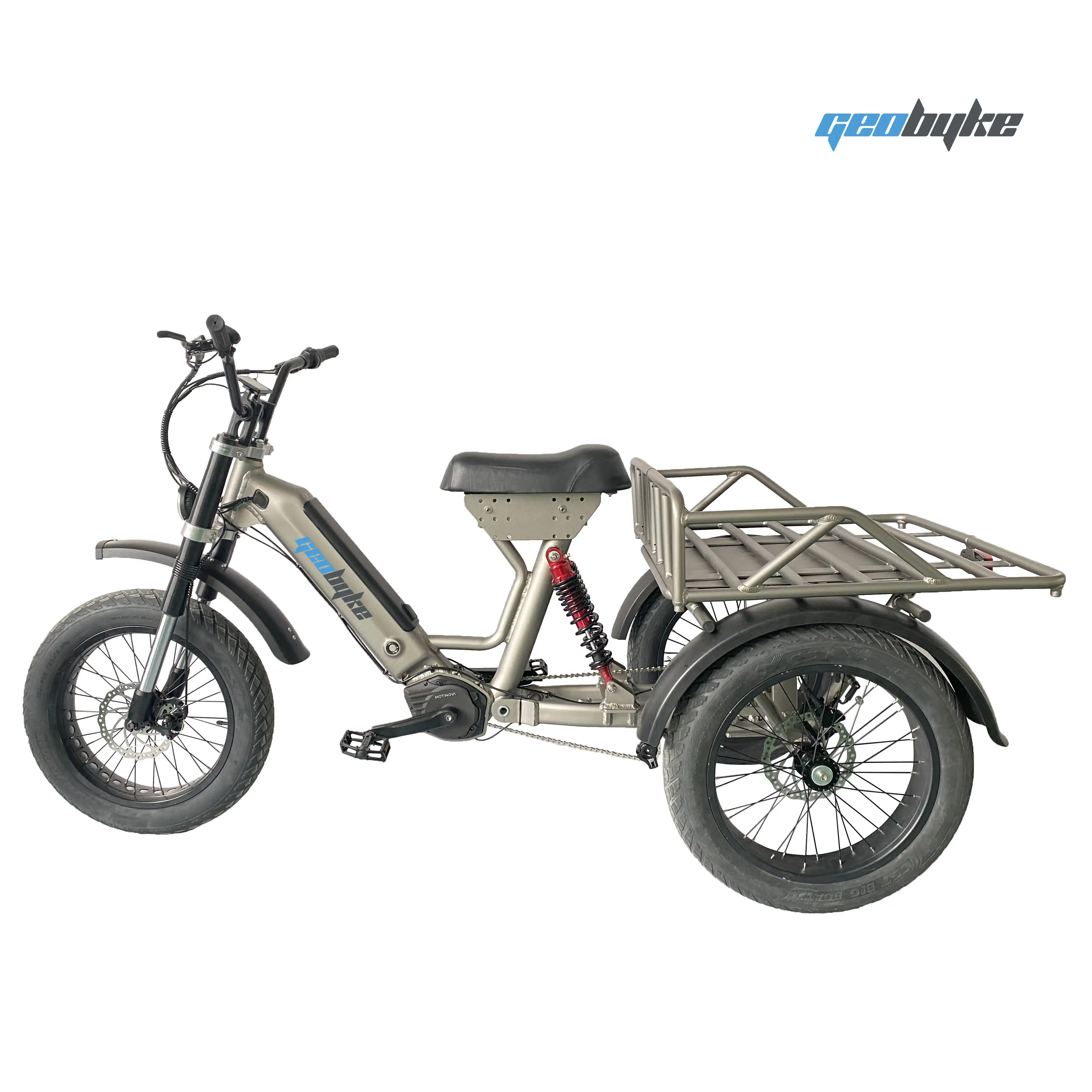 बिजली Trike 48V 250W/500W बिजली Tricycle 3 पहिया कार्गो बाइक रियर निलंबन के साथ वयस्क के लिए