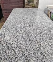 Dalles de granit gris en gros pour marches d'escalier extérieures et pierre naturelle flammée avec solution de conception graphique