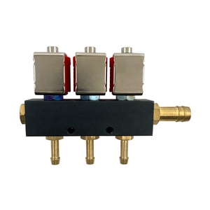 3cylinder Ngv Cng <strong>Common</strong> Lpg Injector <strong>Rail</strong> Car Fuel <strong>System</strong> - Product Image 4