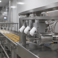 Système de pulvérisation atomisante ultrasonique – Machine de revêtement à brume fine pour la déposition d'huile dans les couches barrière alimentaires et polymères