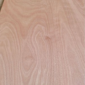 Hoja <span class=keywords><strong>de</strong></span> <span class=keywords><strong>madera</strong></span> contrachapada 4x8 pies <span class=keywords><strong>Madera</strong></span> <span class=keywords><strong>de</strong></span> eucalipto 5mm 7mm 9mm 12mm 13mm 15mm 25mm <span class=keywords><strong>Madera</strong></span> contrachapada gruesa <span class=keywords><strong>de</strong></span> grado para muebles - Product Image 5