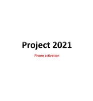 Logiciel de serveur réseau Project Professional Plus pour entreprises et usage domestique, version Pro, en stock, livraison rapide