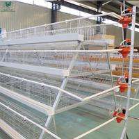 Cage à poules automatique galvanisée, capacité de 5000 oiseaux, cages en batterie pour l'élevage des poules pondeuses aux Philippines et en Tanzanie