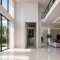 Ascensore Idraulico di Alta Qualità per Ville, Design Moderno, Alta Capacità, Sicuro e Durevole