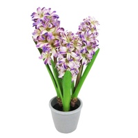 Hyacinth Putih Imitasi dengan Kelopak Lembut Berwarna Merah Muda Ditanam dalam Pot Berpenampilan Batu Bertekstur Dekorasi Dalam Ruangan Bernuansa Mistis