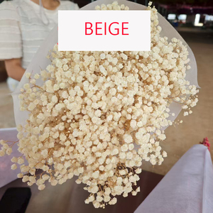 <span class=keywords><strong>Ramo</strong></span> de Flores Secas de Gypsophila Blanca, Planta Natural Preservada para Decoración de Bodas, Fiestas, Manualidades, Estilo Boho, Decoración del Hogar - Product Image 3