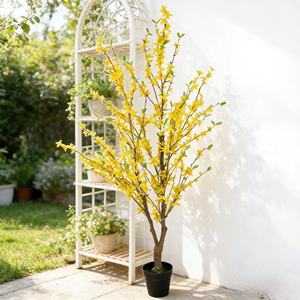 Nueva Llegada, Flor Artificial <span class=keywords><strong>de</strong></span> Forsythia <span class=keywords><strong>de</strong></span> Seda <span class=keywords><strong>de</strong></span> 1.4M, Color Amarillo, Estilo Chino, Jazmín para Decoración <span class=keywords><strong>Interior</strong></span> y Exterior - Product Image 5