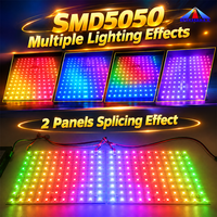 Matrice LED SMD5050 100 Pixels RGB Adressable, Effet Pierre, IP20 IP54, Découpable, 13W DC12V, Rétroéclairage 5V, Feuille LED RGBW 10x10 Pouces