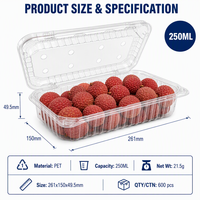 Conteneur alimentaire articulé en PET transparent, recyclable et personnalisable, 250 ml, 500 ml, pour supermarché, préparation de repas, boîte à salade de fruits