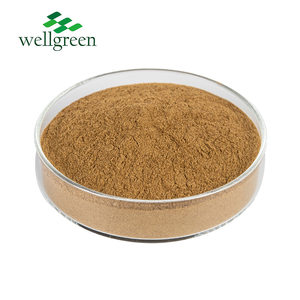 Bột Chiết Xuất Nấm Đông Lạnh Khô Polysaccharides <span class=keywords><strong>Boletus</strong></span> <span class=keywords><strong>Edulis</strong></span> Tự Nhiên - Product Image 2