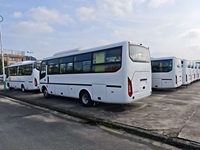 Autobús Usado de Gas Natural Comprimido (GNC) con Transmisión Manual, 36 Asientos, Volante a la Izquierda, Autobús Urbano de Segunda Mano