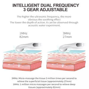Oem grosir kualitas tinggi pemijat terapi tubuh elektrik peralatan fisioterapi genggam mesin <span class=keywords><strong>Ultrasound</strong></span> - Product Image 5