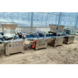 Machine de pépinière de semis de plateau de cavité de <span class=keywords><strong>vente</strong></span> directe <span class=keywords><strong>d</strong></span>'<span class=keywords><strong>usine</strong></span> pour la ligne de production de semis de pépinière de semis de plateau - Product Image 5