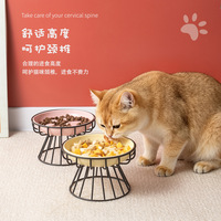 Gamelle en céramique pour chat, plat à lécher, plat d'alimentation lente, plat anti-étouffement avec support, protection du cou