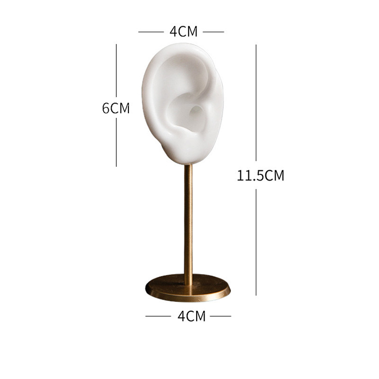 Right Ear