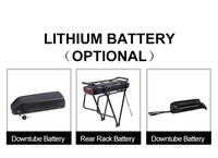 Kit de conversion de roue de vélo électrique MTX Wheel 48v 2000w avec batterie