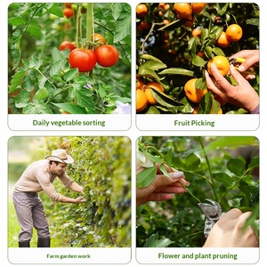 Cisaille de cueillette portable pour mini-jardin, couteau de taille-finger pruner, outil de récolte pour légumes, fruits et concombres, cisailles de cueillette manuelles pour la ferme - Product Image 6