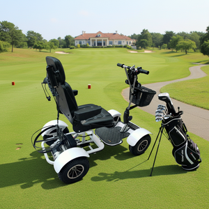 Carrito de Golf Eléctrico KALOSSE J08 para 1 Persona con Discapacidad, Motor de 1000W, Marco de Acero, Batería de Litio de 24V, Carga Máxima de 150 kg, Velocidad Máxima de 14 km/h - Product Image 5