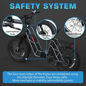 * Schnellste Geschwindigkeit Elektro fahrrad * 20 Zoll Fat Tire Ebike * 500W 750W 1000W Anderes E-Bike * Hochleistungs-Doppelbatterie-Cargo-Bike