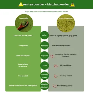 Poudre de café matcha aux champignons de haute qualité, énergie saine, grains d'arabica instantanés, goût neutre, extraits végétaux, sachet de matcha aux champignons - Product Image 2