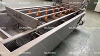 Durian & Kiwi Groentewasmachine 500Kg Capaciteit Motor Aangedreven Voor Fruitverwerkende Fabriek