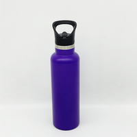 Gourde anti-fuite violette 22oz en acier inoxydable de qualité alimentaire avec paille et bec verseur