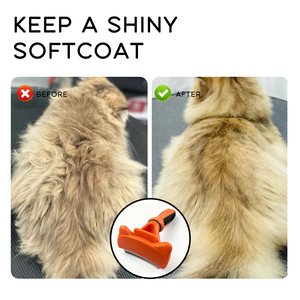 Nouvelle brosse de toilettage pour animaux de compagnie JC : outil de retrait des poils sous-panneaux, lame de râteau métallique pour chats et chiens - Product Image 6