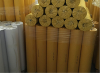 Film protecteur de sablage PVC Film protecteur de sablage pour pierre