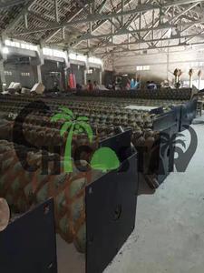 Du khách cây cọ nhân tạo trong nhà cây dừa lá cọ nhà máy 2m ngoài trời Washington cây cọ nhân tạo - Product Image 5