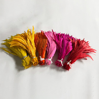 Teint rouge coq Coque queue poulet coq plume pour artisanat bricolage Costume chapeau accessoire scène fête carnaval mariage décor