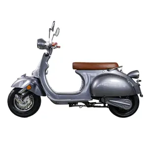 Retro Elektrische Scooter Stijl Met Dubbele Verwijderbare Batterij 1500W